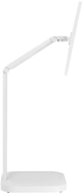 Монитор LG 31.5