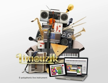 Игра для ПК Plug In Digital Limouzik (6+)