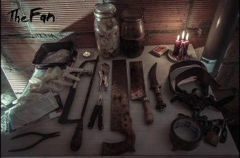 Игра для ПК Plug In Digital The Fan (18+)