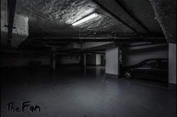 Игра для ПК Plug In Digital The Fan (18+)