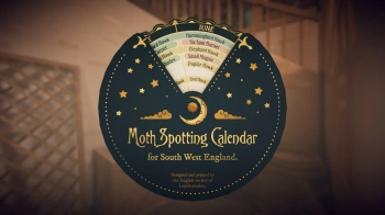 Игра для ПК Whitethorn Digital Botany Manor (0+)