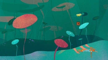 Игра для ПК Whitethorn Digital Teacup (0+)