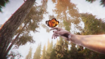 Игра для ПК Whitethorn Digital The Forest Cathedral (16+)