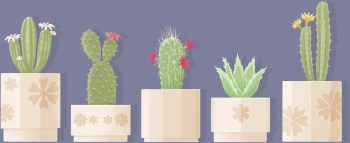 Дополнение к игре для ПК Secret Mode A Little to the Left: Seeing Stars (0+)