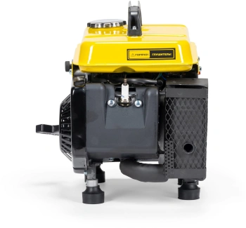 Генератор Champion PNIGG1001