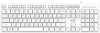 2142768_v01_s.webp