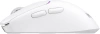 2142870_v03_s.webp
