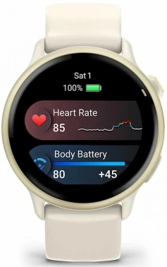 Смарт-часы Garmin Vivoactive 6
