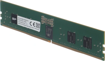 Память DDR5 Silicon Power  SP016GBRVE56AF02