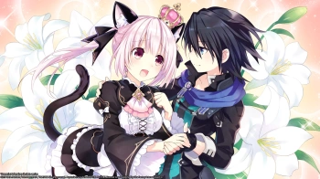 Игра для ПК Idea Factory International Cyberdimension Neptunia: 4 Goddesses Online (12+)