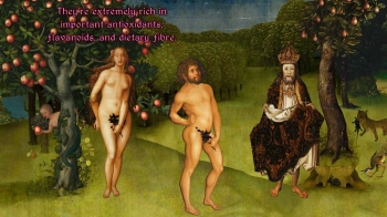 Игра для ПК Akupara Games Four Last Things (12+)