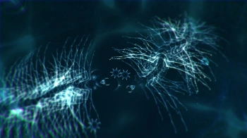 Игра для ПК Forever Entertainment Sparkle ZERO (12+)