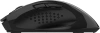 2152151_v04_s.webp