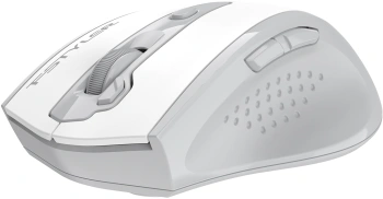 Мышь A4Tech Fstyler FG55S Plus