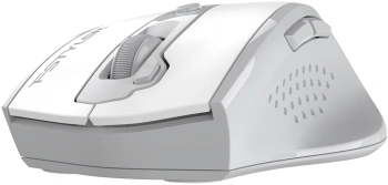Мышь A4Tech Fstyler FG55S Plus