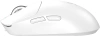 2164087_v04_s.webp