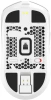 2164087_v10_s.webp