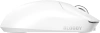 2164087_v22_s.webp