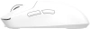 2164087_v23_s.webp