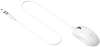 2164087_v24_s.webp
