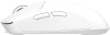 2164087_v41_s.webp