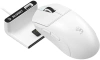 2164087_v46_s.webp