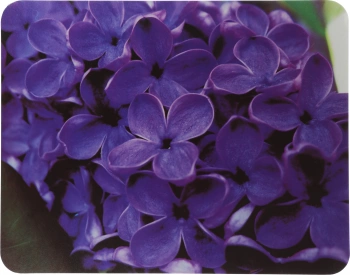 Коврик для мыши Buro BU-M20049