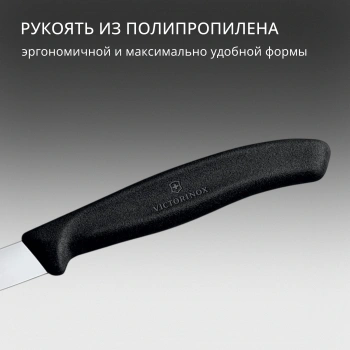 Нож кухонный Victorinox Swiss Classic