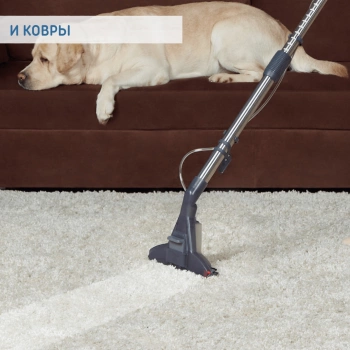Пылесос моющий Thomas Pet & Family