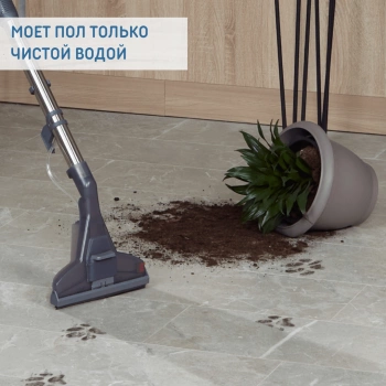 Пылесос моющий Thomas Pet & Family