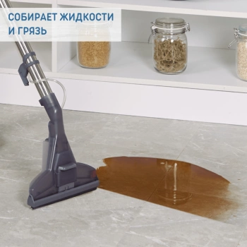 Пылесос моющий Thomas Pet & Family