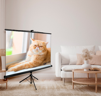 Экран Cactus 71