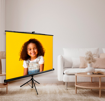 Экран Cactus 84