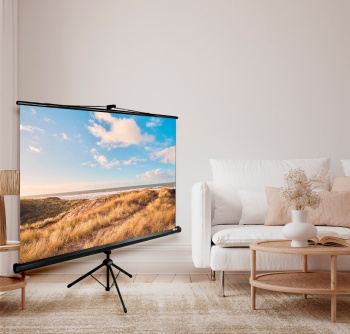 Экран Cactus 100