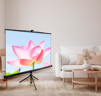 Экран Cactus 84