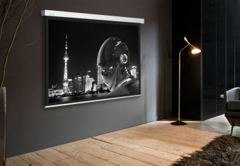 Экран Cactus 71