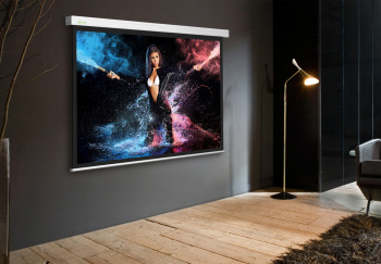 Экран Cactus 100