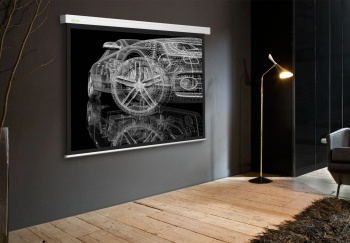 Экран Cactus 119