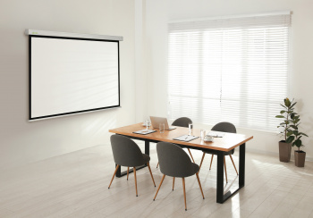 Экран Cactus 100