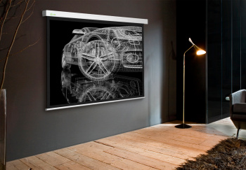 Экран Cactus 84