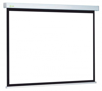 Экран Cactus 120