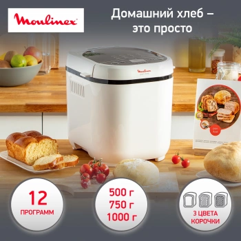 Хлебопечь Moulinex OW210