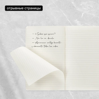 Блокнот Moleskine CAHIER JOURNAL QP316 Large 130х210мм обложка картон 80стр. линейка черный (3шт)