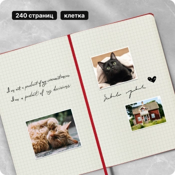 Блокнот Moleskine CLASSIC QP061R Large 130х210мм 240стр. клетка твердая обложка красный