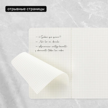 Блокнот Moleskine CAHIER JOURNAL QP317 Large 130х210мм обложка картон 80стр. клетка черный (3шт)