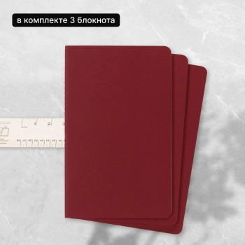 Блокнот Moleskine CAHIER JOURNAL CH116 Large 130х210мм обложка картон 80стр. линейка клюквенный (3шт)