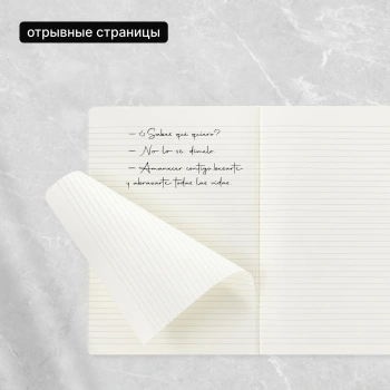 Блокнот Moleskine CAHIER JOURNAL CH121 XLarge 190х250мм обложка картон 120стр. линейка клюквенный (3шт)
