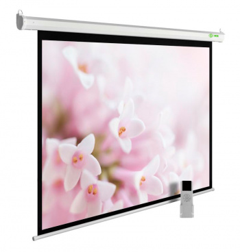 Экран Cactus 134