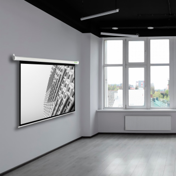 Экран Cactus 134