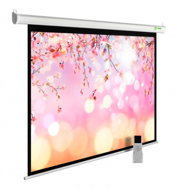 Экран Cactus 122